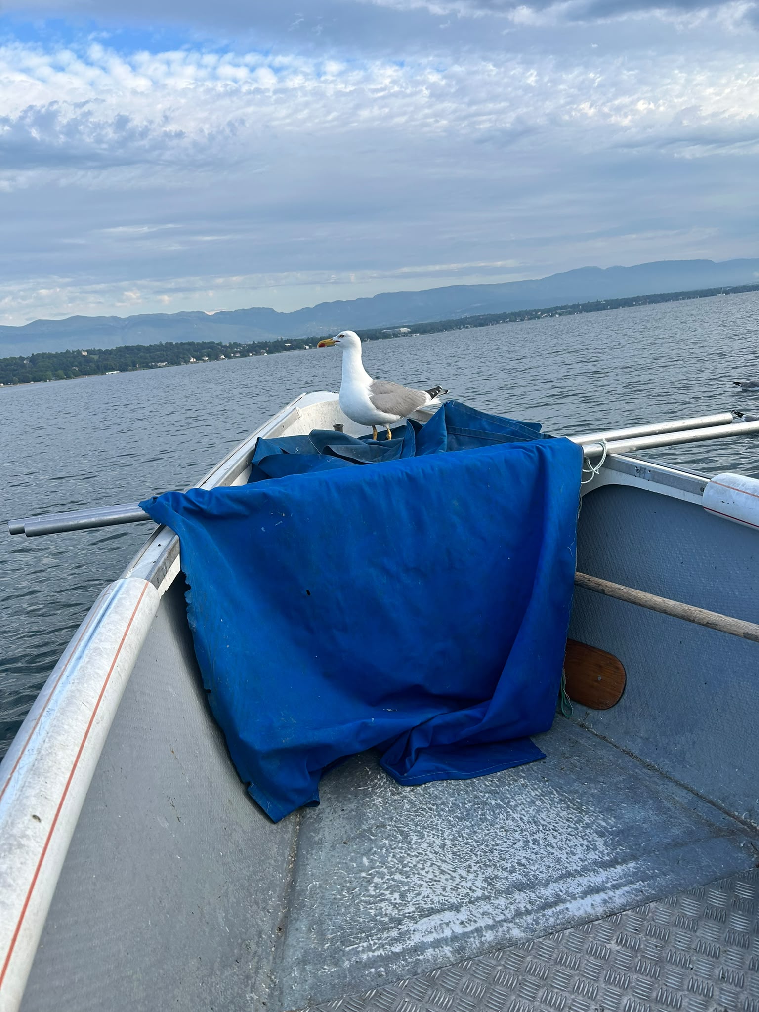 Pêche artisanale sur le lac
