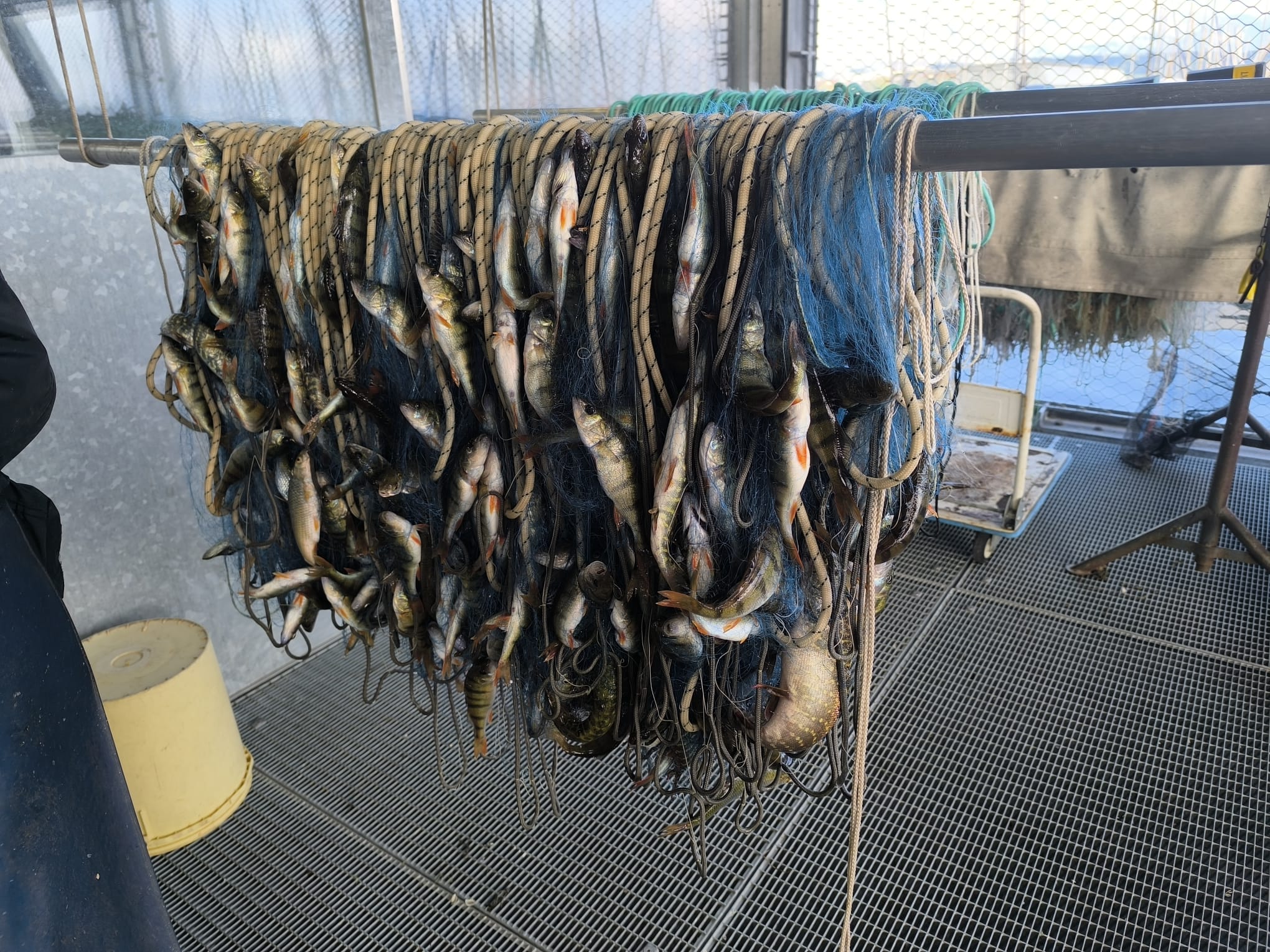 Navire et filet de pêche Comiplage